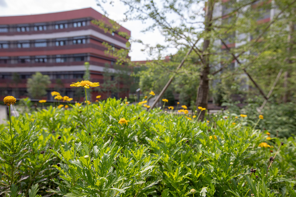 �ɶ�����ЌW